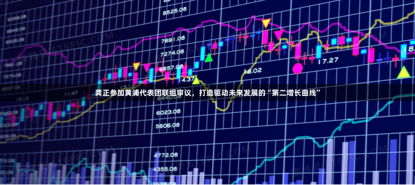 龚正参加黄浦代表团联组审议，打造驱动未来发展的“第二增长曲线”