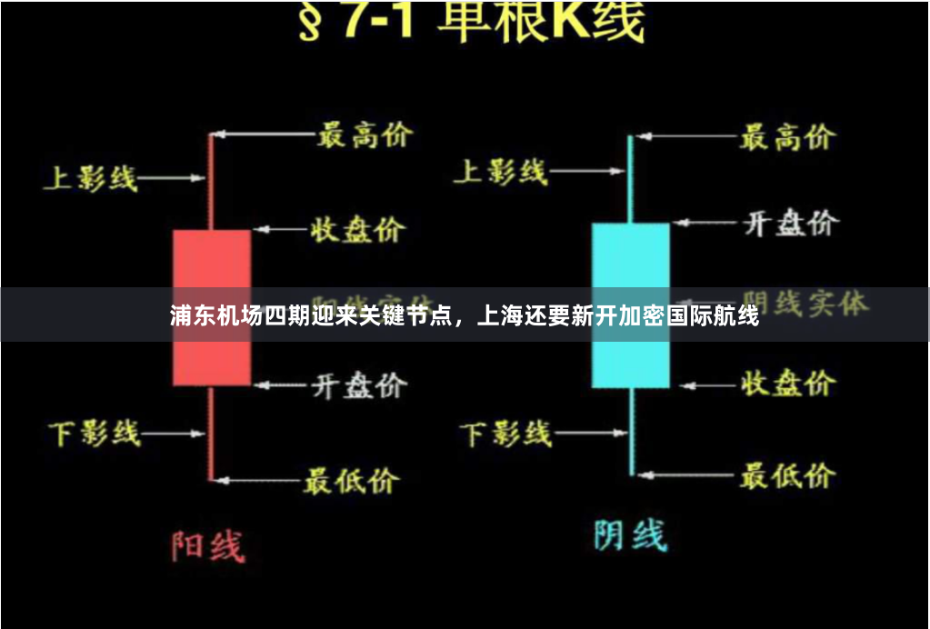 浦东机场四期迎来关键节点，上海还要新开加密国际航线